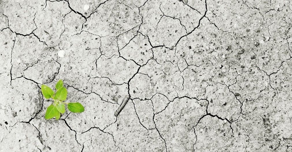 El mundo vuelve a perder la batalla contra el hambre (por culpa de la humanidad)