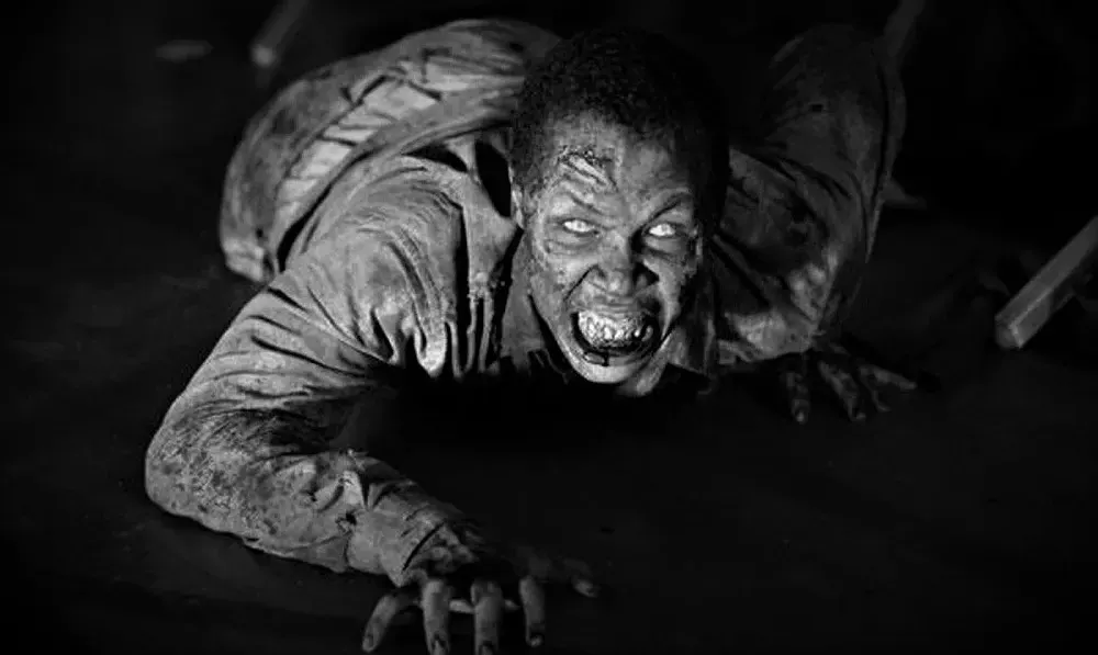 Zombies en Haití: un extraño despertar.