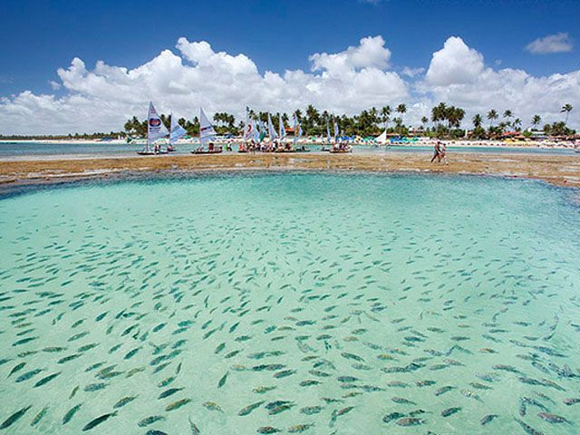 Porto de Galinhas: qué hacer y sus piscinas naturales