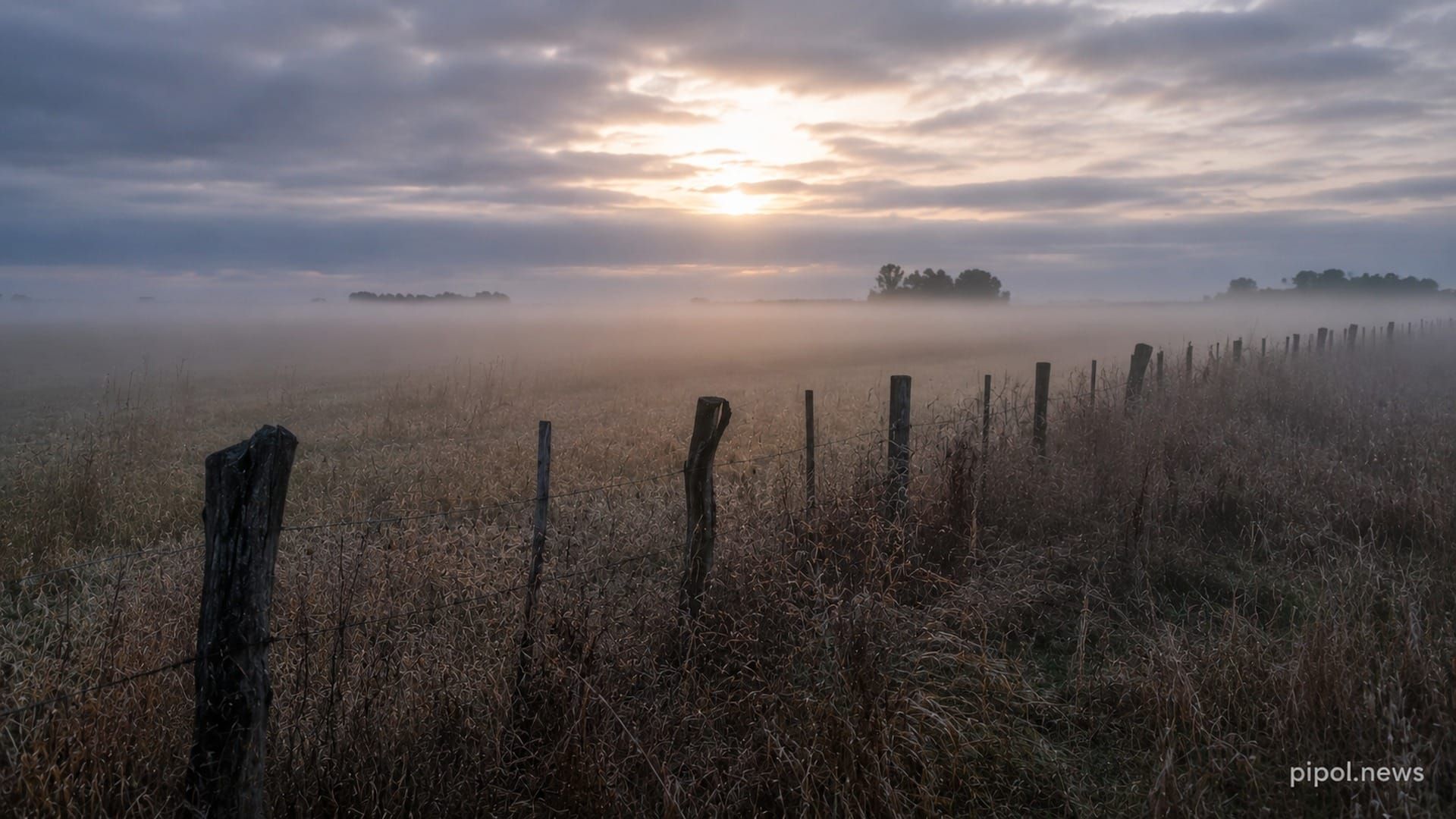 Campo pampeano al amanecer con niebla baja sobre el pastizal, un alambrado de postes de madera en primer plano y el sol filtrándose entre las nubes.
