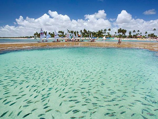 Porto de Galinhas: qué hacer y sus piscinas naturales