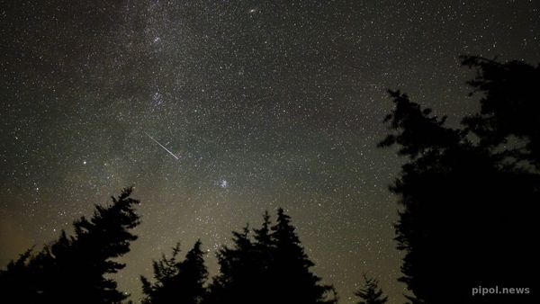 Cielo nocturno estrellado con la Vía Láctea y una estrella fugaz cruzando en diagonal sobre siluetas de pinos