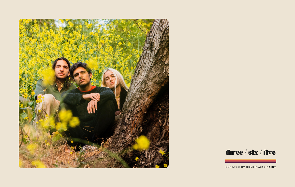 049: Peel Dream Magazine - Lie In The Gutter