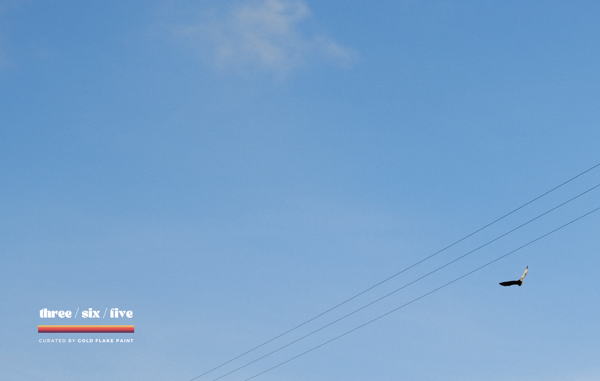 Album Round-up: 20/06/2025