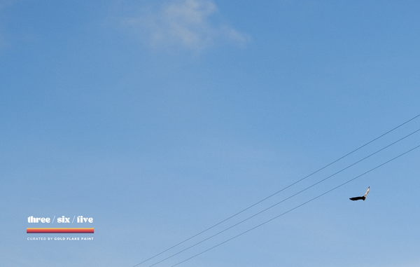 Album Round-up: 20/06/2025