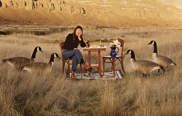 Crooked Words #12: Photokem, Alela Diane, I'm Kingfisher