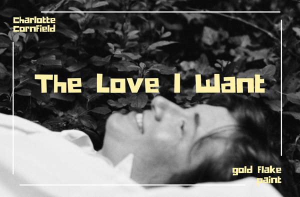 In conversation with Charlotte Cornfield