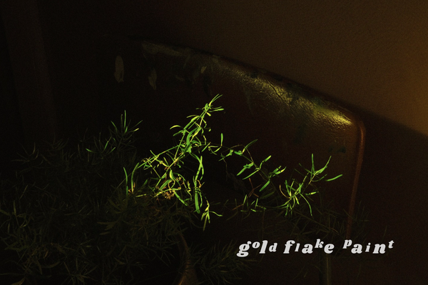 GFP is 16 years old today.