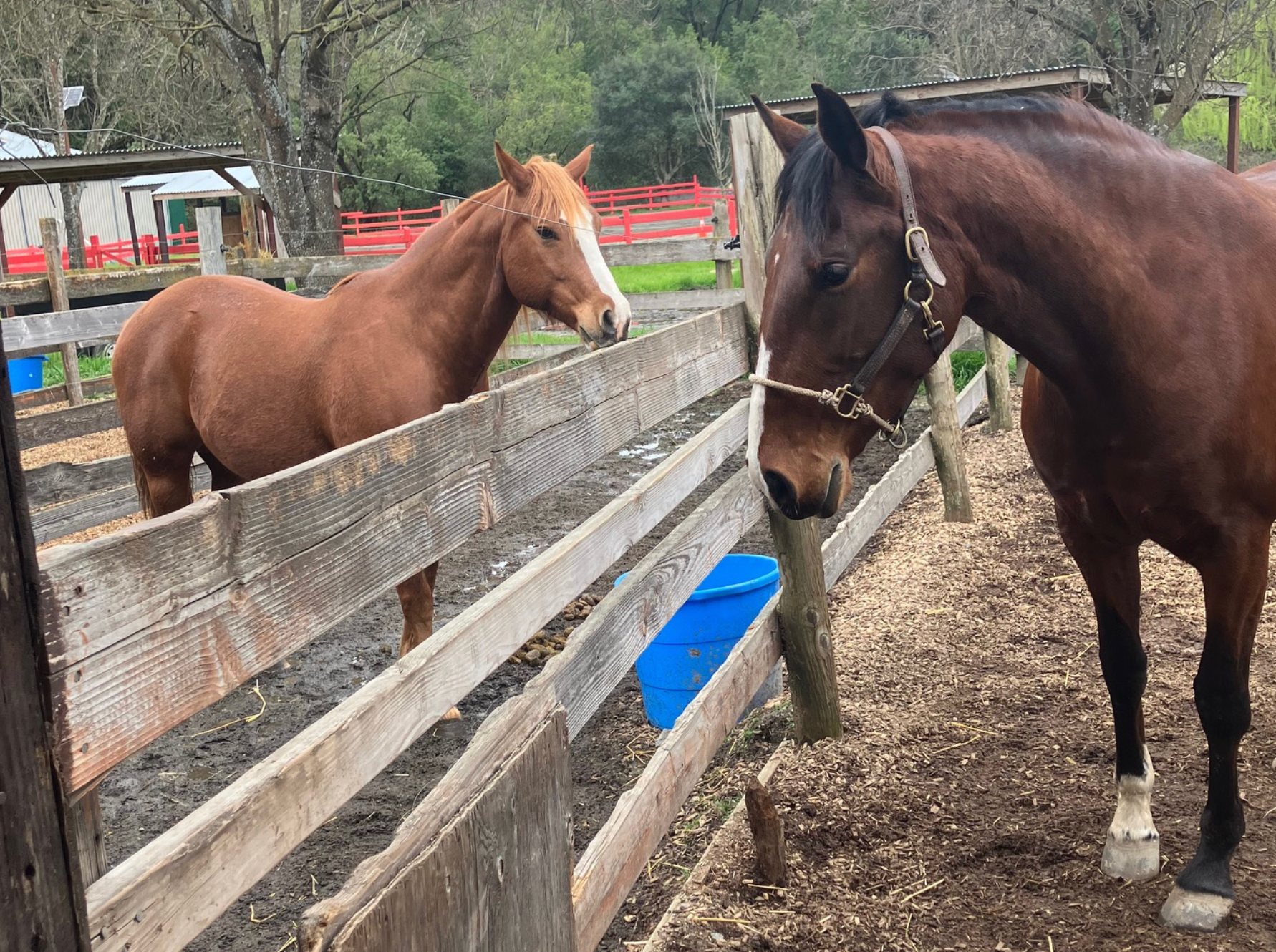 Health: The Love Connection