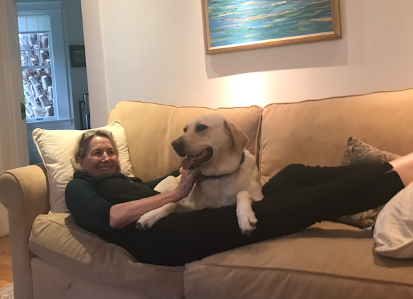 Covid Coping? The 5 Needs