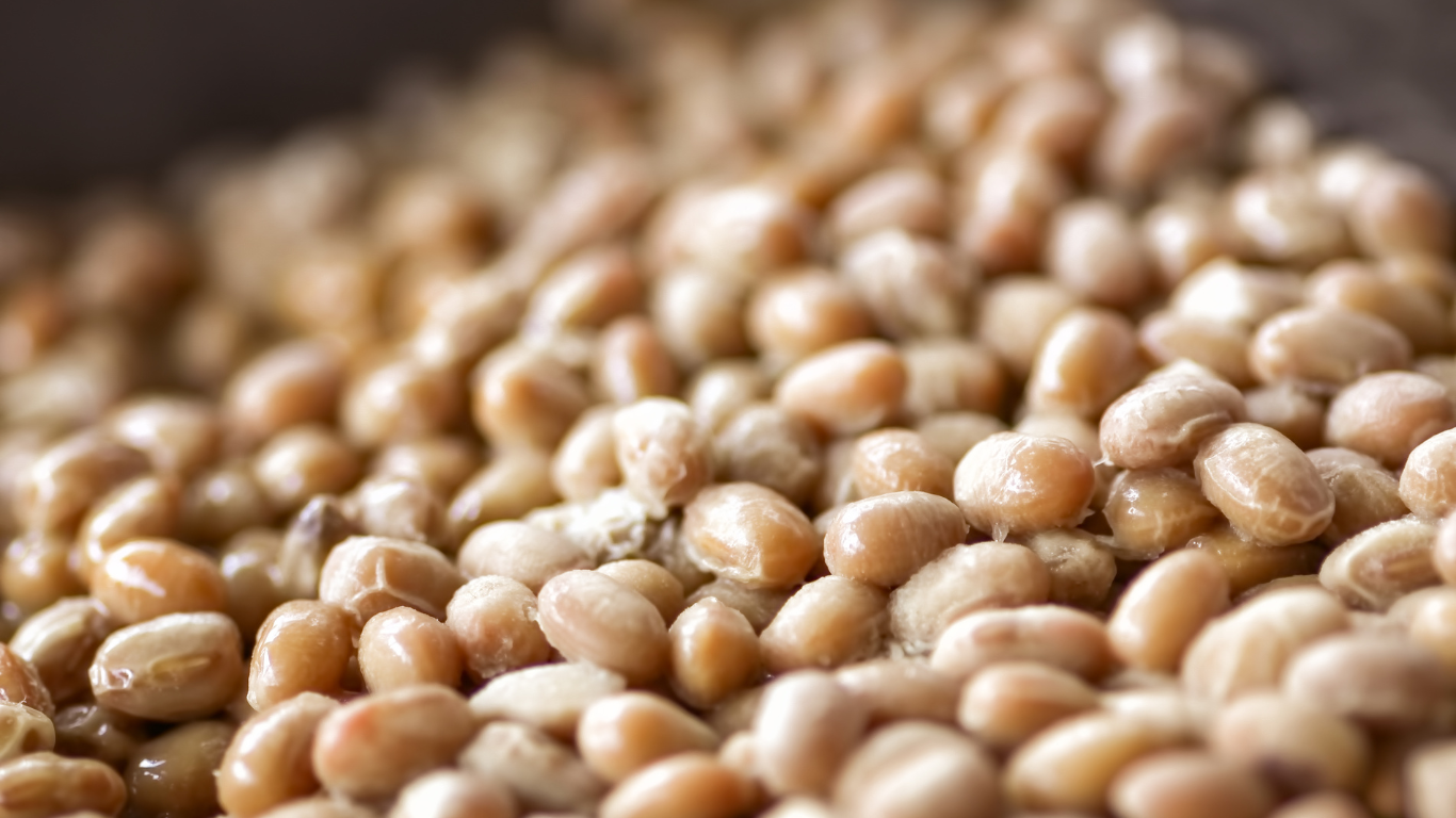 Nattokinase Supplement