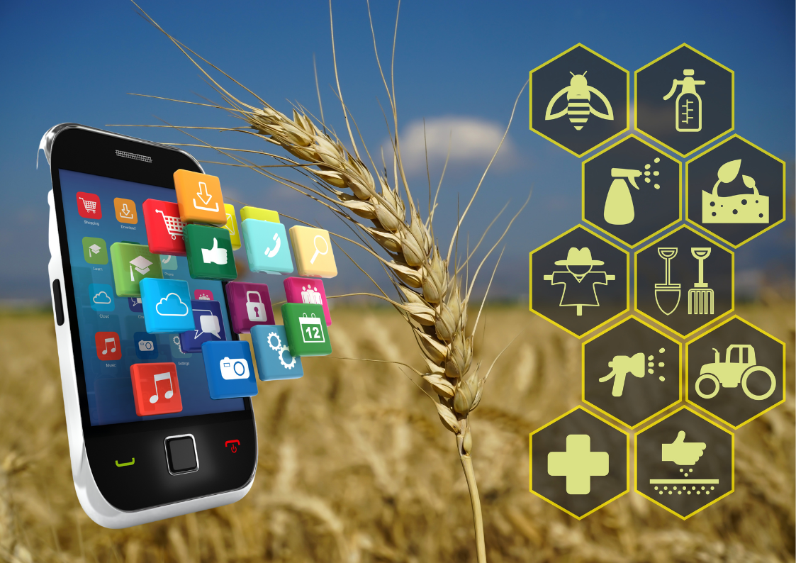 Applications for Plant Identification