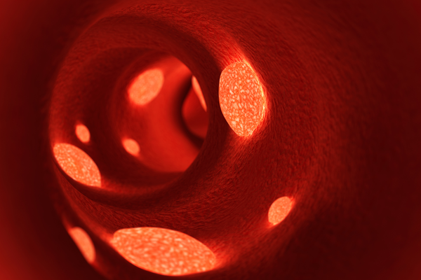 Blood Clots and Explaining How Blood Clots Affect The Human Body