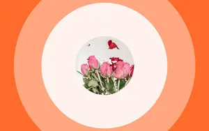 Last Post Image