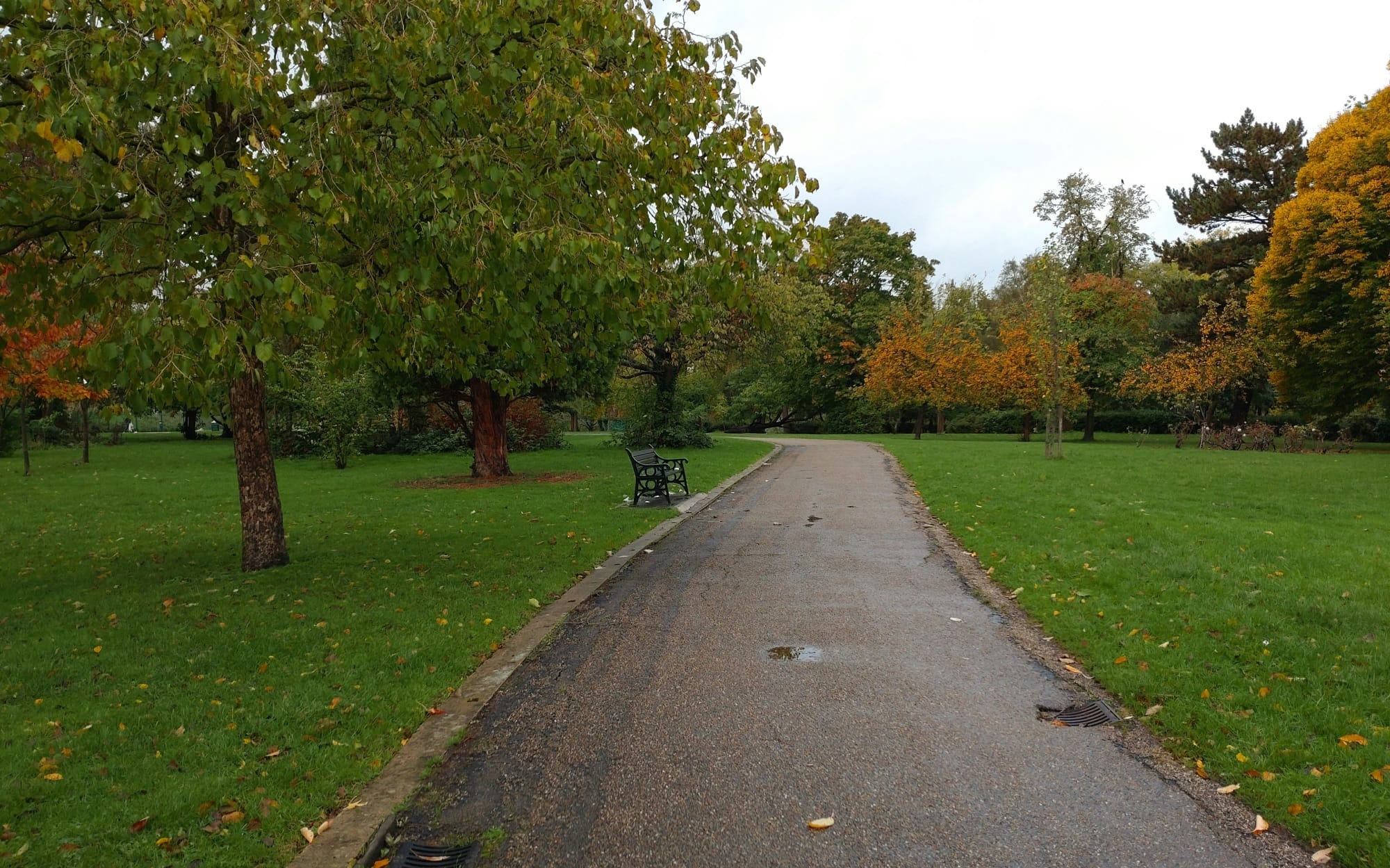 A quiet winding path in a park, surrounded by autumn trees and a solitary bench under cloudy skies.