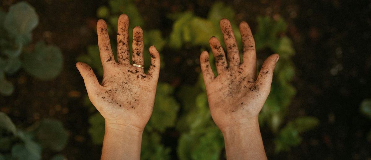 The Parable of the Sower: What Kind of Soil Are You?
