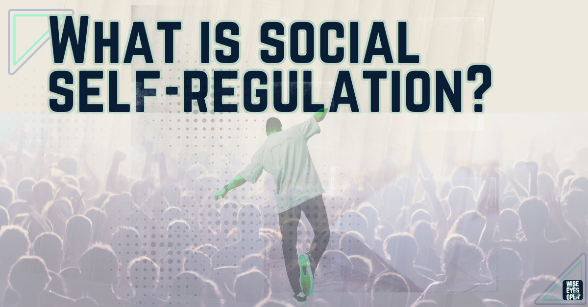 What is social self-regulation?