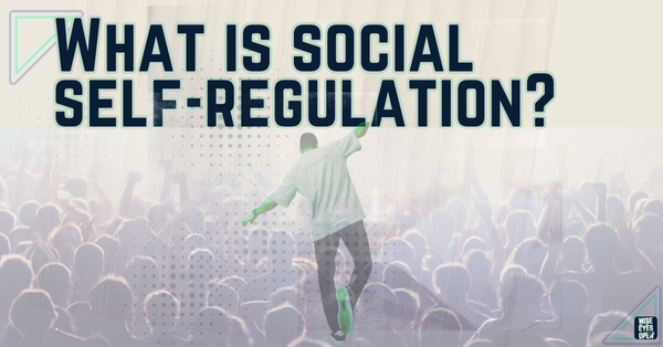 What is social self-regulation?