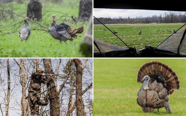 Turkey Hunting Gear: Products You May Need