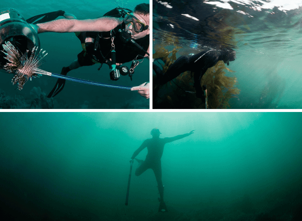 Underwater Adventure: Spear Fishing with Fishing Spears