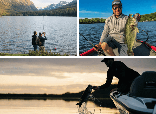 Reel in the Biggest Bass with Amazing Bass Fishing Rods
