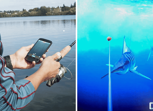 Uncover the Underwater World with a Portable Fish Finder