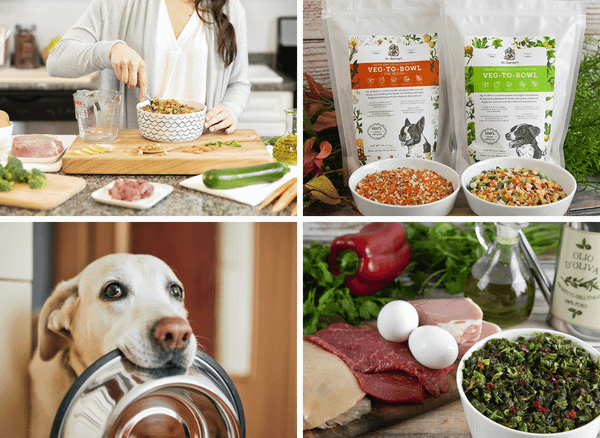 Dr. Harvey's Dog Food is the Right Choice