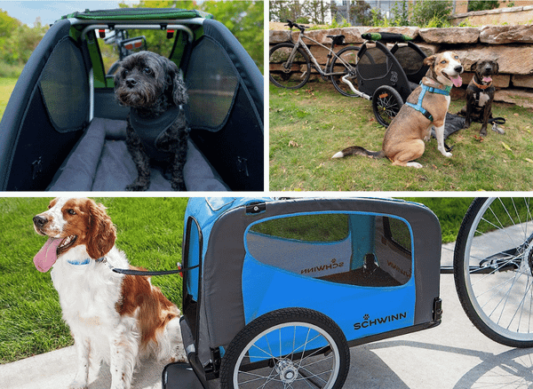 Unleash the Adventure With A Dog Bike Trailer