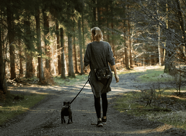 Experience the Freedom with Hands Free Dog Leash for 2 Dogs!