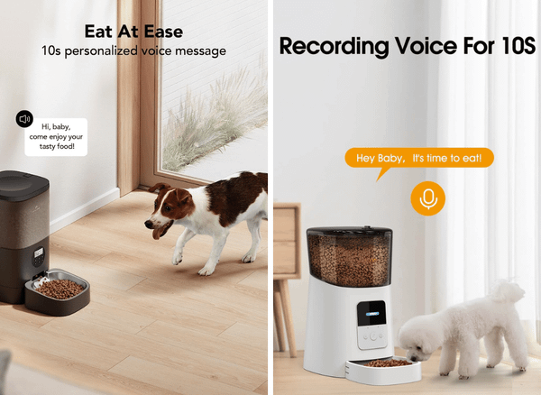 Treat Your Dog to Mealtimes With A Automatic Dog Feeder