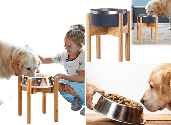 A Bowl Above the Rest With A Dog Bowl Stand
