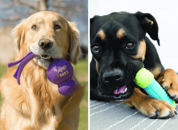 Kong Dog Toys: The Ultimate Toy for Your Furry Friend