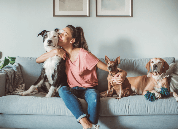 Say Goodbye to Pet Hair With A  Pet Hair Remover
