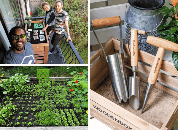 Essential For Every Gardener: The Garden Seed Planter Tool