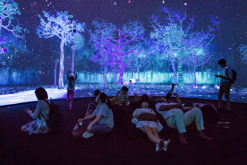 Story of the Forest is an immersive installation that transforms 69 drawings from the William Farquhar Collection of Natural History Drawings into three-dimensional animations. (source: NHB)