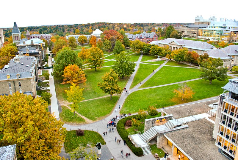 Users create desire paths by giving perspective to the choices they make. And because we respond by connecting and linking the discussions, the garden/map gets reused over time, turning from a courtyard into a national park. (image source: Cornell)