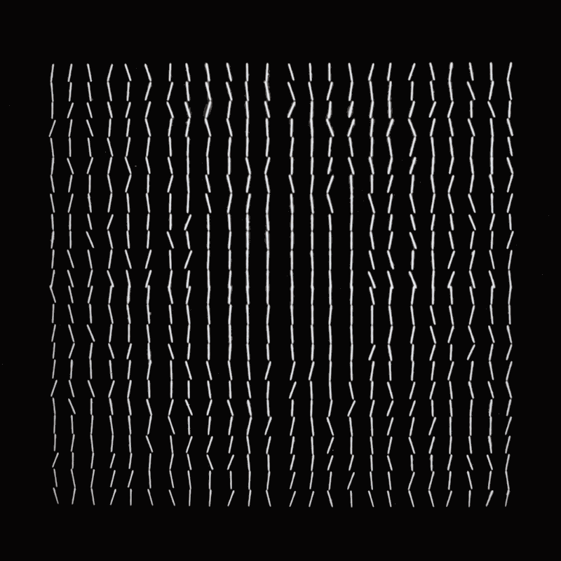 The early experimentation of Vera Molnar led to new discoveries of computational art and design. (source: holo)