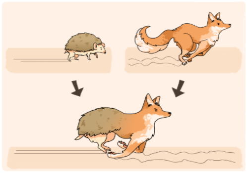 UX foxhog — a portmanteau of combining the foxy and spiky traits of the two woodland creatures (image source: Witherell)