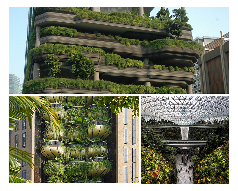 From bottom left clockwise: Notable biophilic architecture in Singapore by Thomas Heatherwick, WOHA and Moshe Safdie