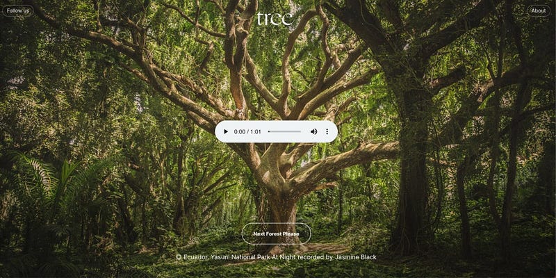 Tree.fm by New Now Design studio is a simple web interface that encourages users to experience various rainforests randomly. The use of images of lush vegetation and design components, along with microcopy, gives a Solarpunk effect of the present. (image source: Colossal)