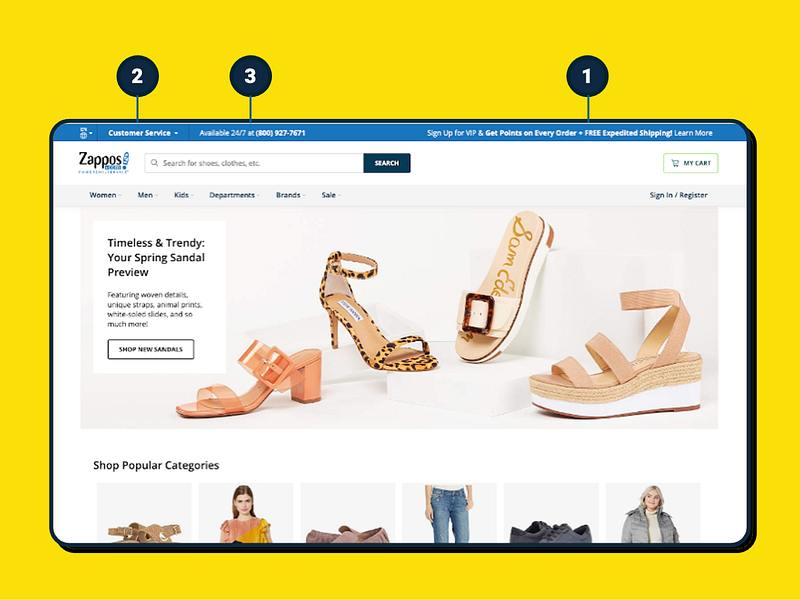 Zappos took it upon themselves to make the entire company obsessed with customer service. Strategies such as free shipping ¹, return policies ², and 24/7 support within one click ³ are now industry norms that started with Zappos. (image source: Chattermill)