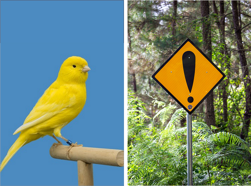 No one can determine who or how the yellow warning signs came to be, but perhaps the canary had a part to play as a symbol of safety. After all, it is yellow. (image source: shutterstock; Unsplash)