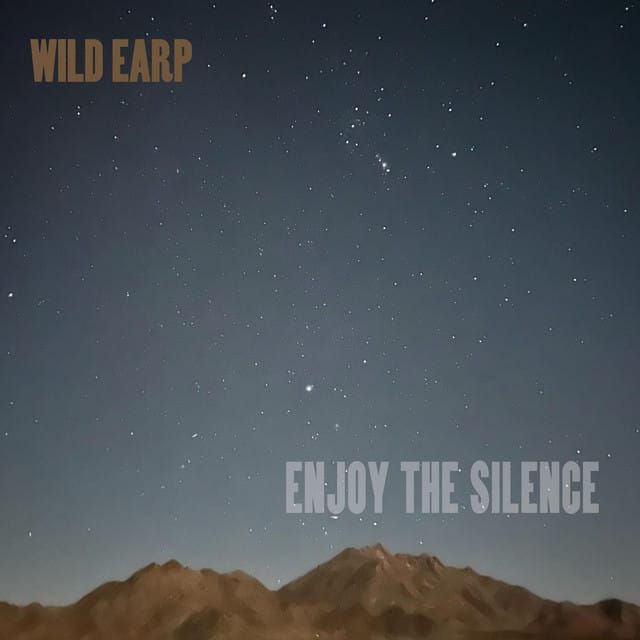 Put A Record On: Country Artists on Non-Country Songs