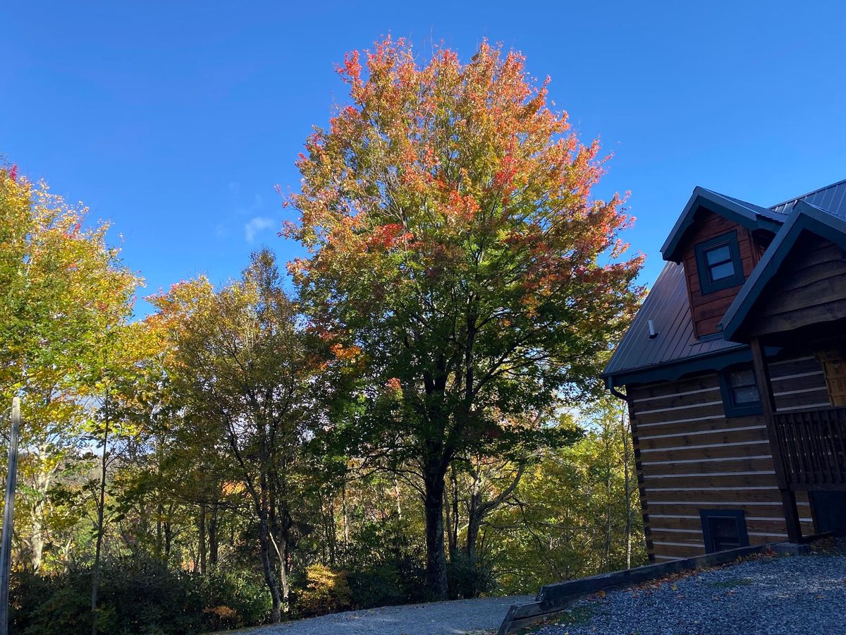 Put a Record On: That Time I Hung Out In Ashville With Dawes, and Help for Helene