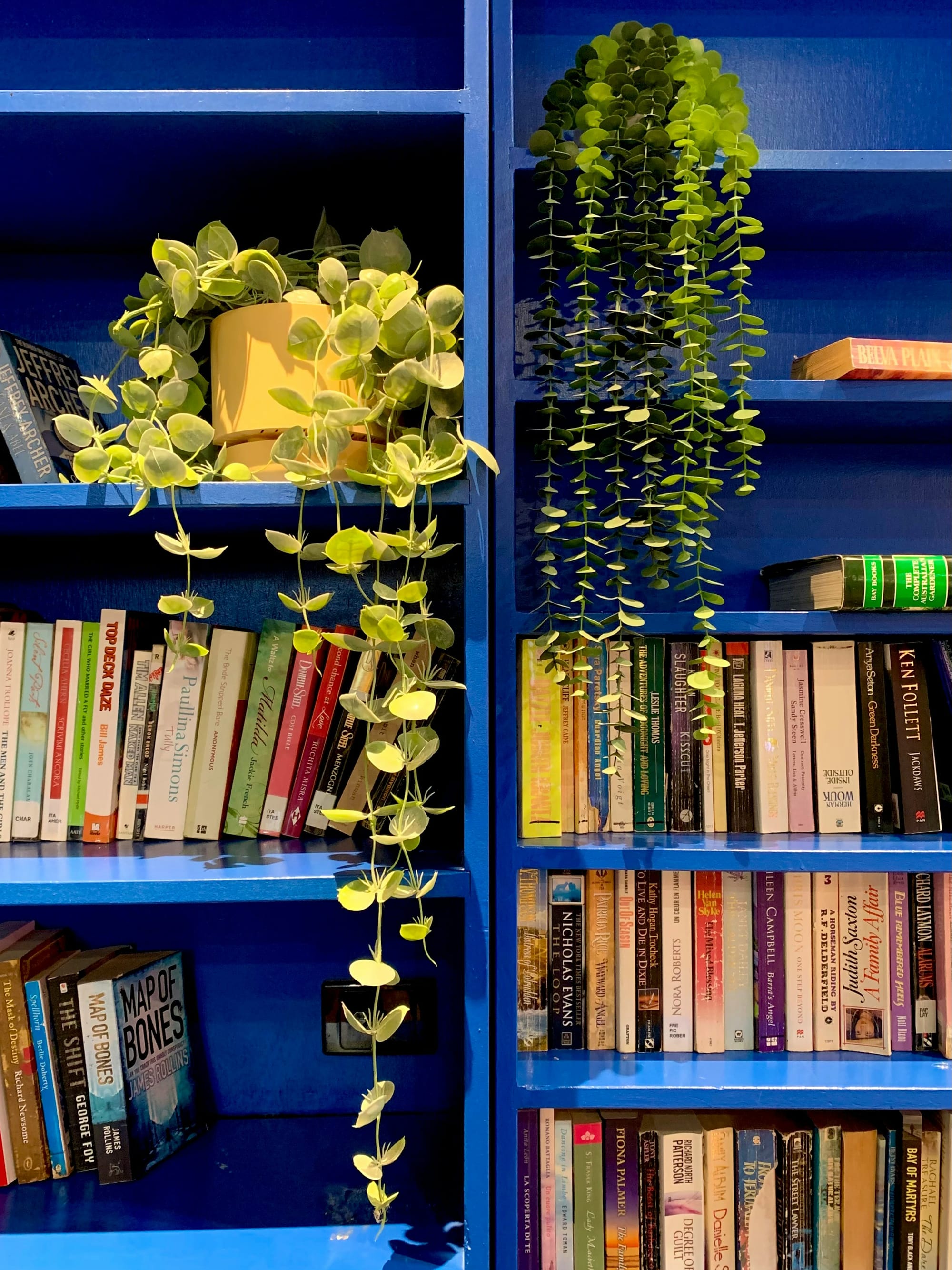 A Caribbean home shelf with books in warm window light