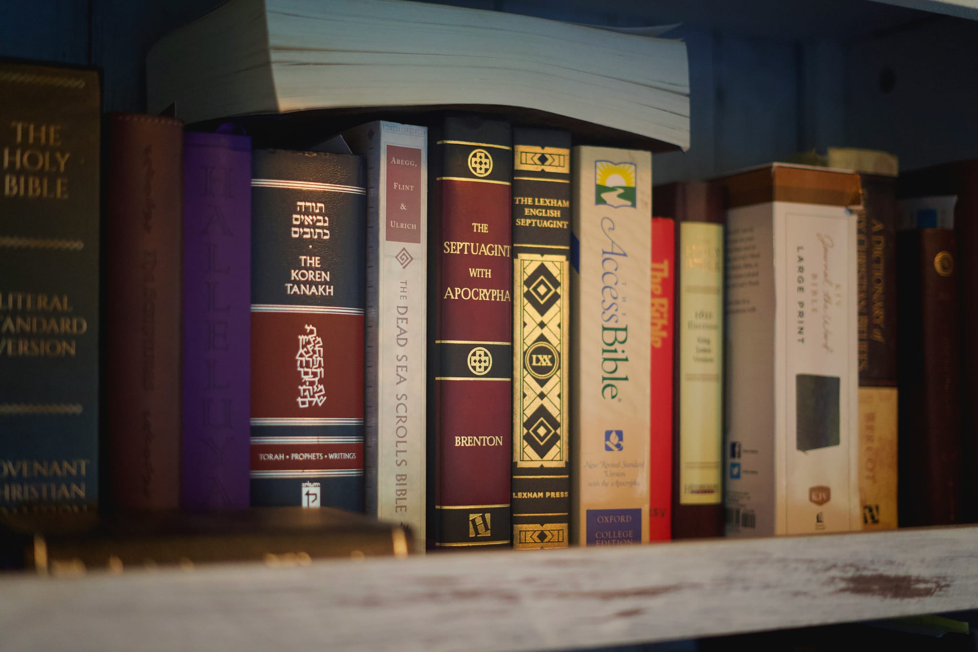 Close-up of bound books with gold lettering on the spines