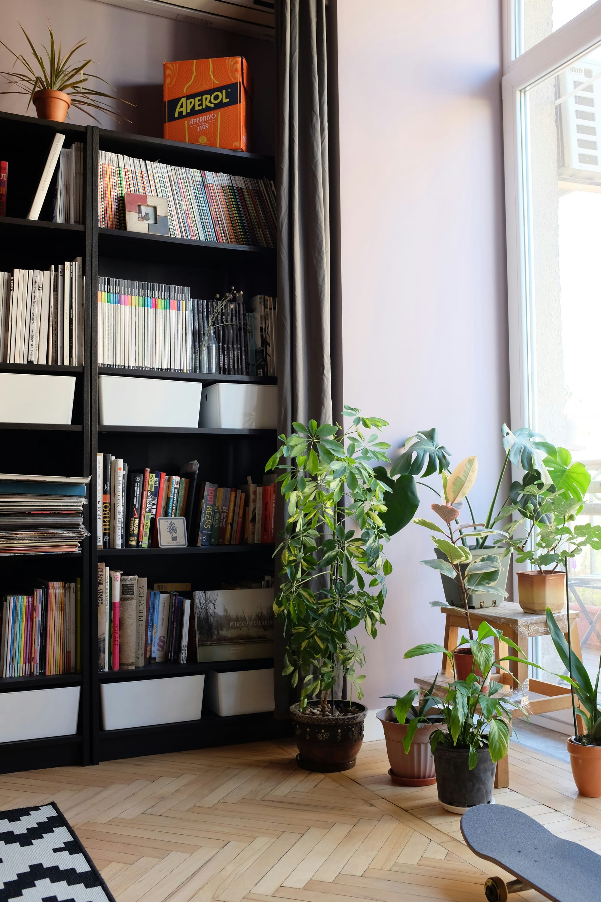 Modern bookshelf with plants and natural light