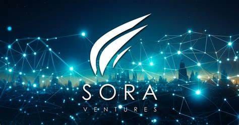 TopWin Ventures into Digital Assets with Sora