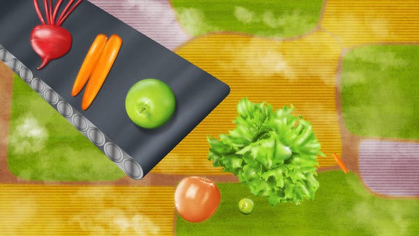 The Restaurant Industry Needs Indigenous Farmworkers. Yet Their Fate Hangs in the Balance.