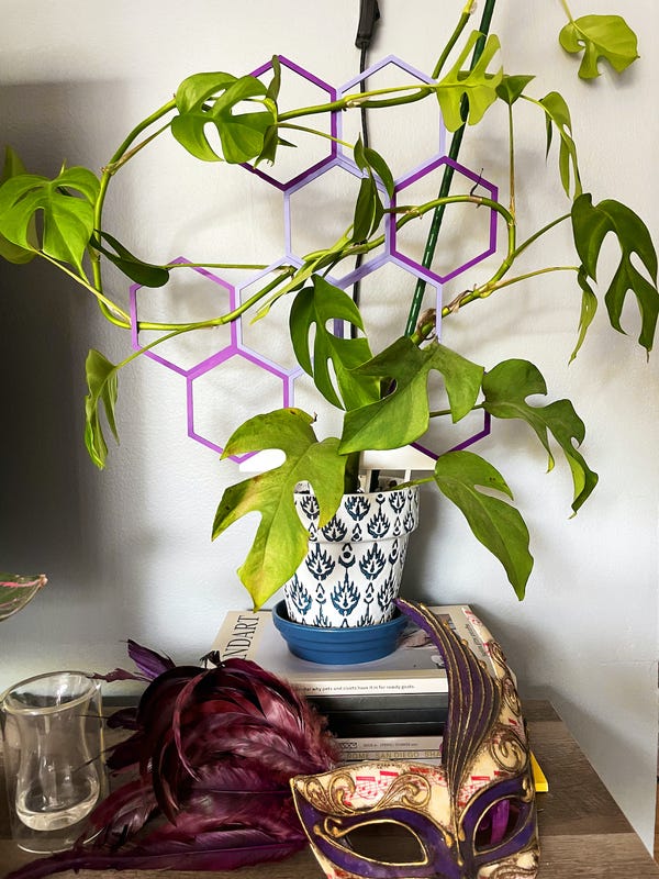 I recently purchased a set from Super Trellis to test out on my mini monstera. It's still getting used to it but hopefully it'll figure itself out as it grows!